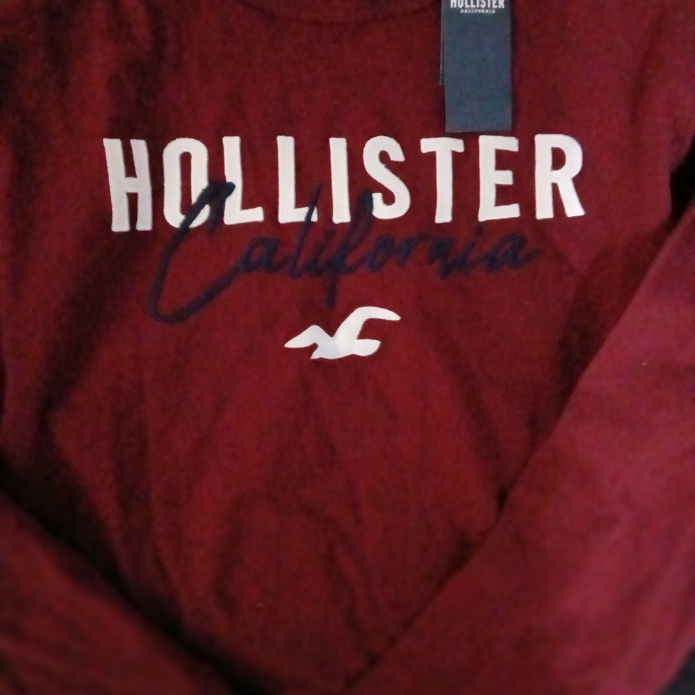 Hollister Men's Maroon Sweater